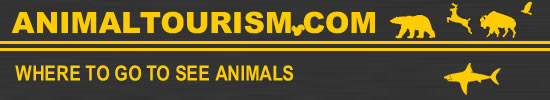 animaltourism.com