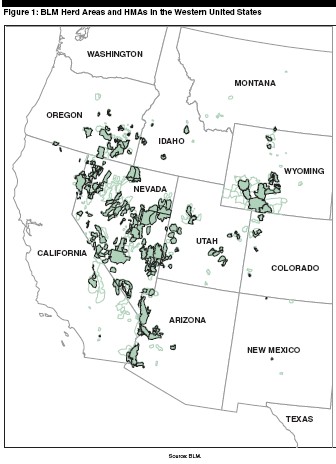 blm map