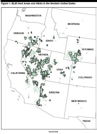 blm map
