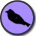 oddbird