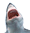 greatwhiteshark